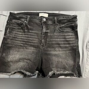 BKE Black Frayed Women's Shorts Size 36